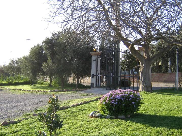 Villetta Bouganvillea Сант'Анна-Аррезі Екстер'єр фото